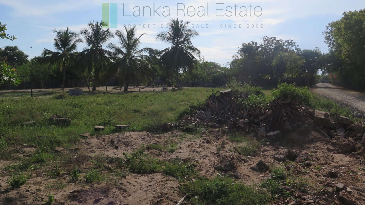 Building plot near Whisky Point, Arugam Bay