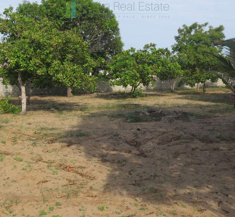 Building plot near Whisky Point, Arugam Bay