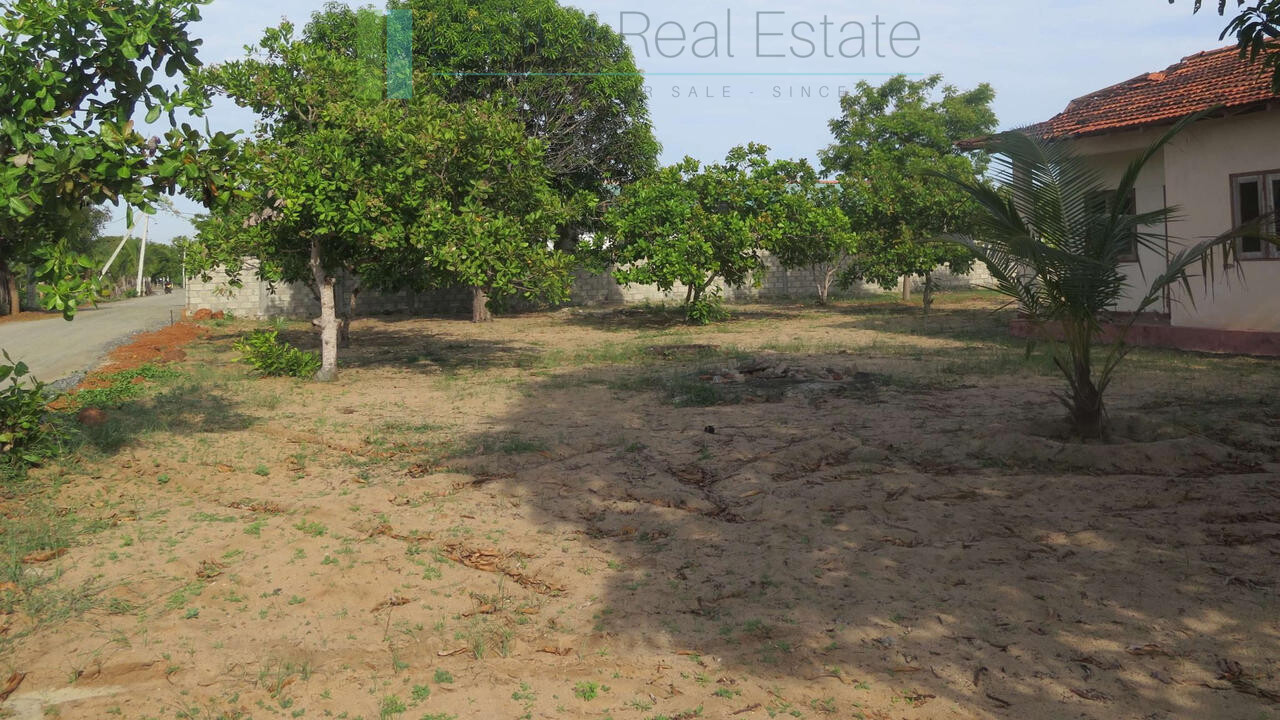 Building plot near Whisky Point, Arugam Bay