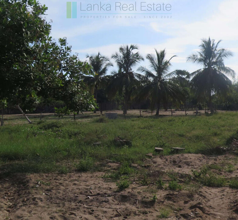 Building plot near Whisky Point, Arugam Bay