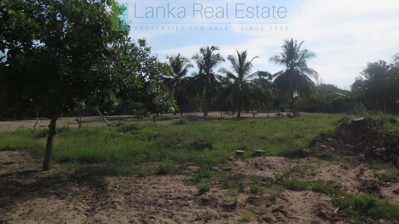 Building plot near Whisky Point, Arugam Bay