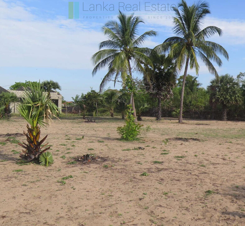 Building plot near Whisky Point, Arugam Bay