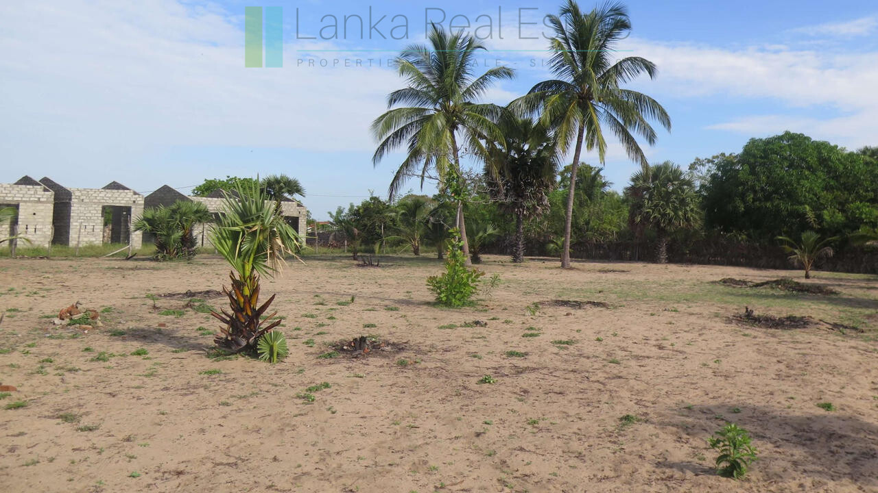 Building plot near Whisky Point, Arugam Bay