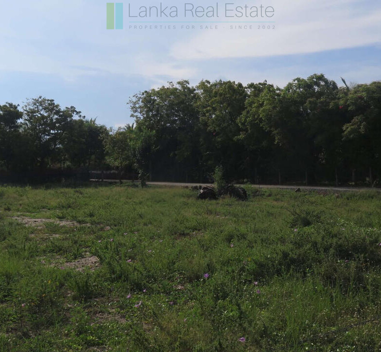Building plot near Whisky Point, Arugam Bay