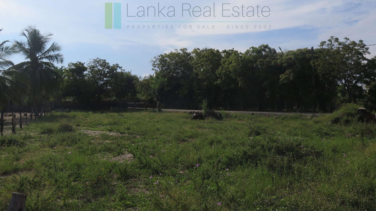 Building plot near Whisky Point, Arugam Bay