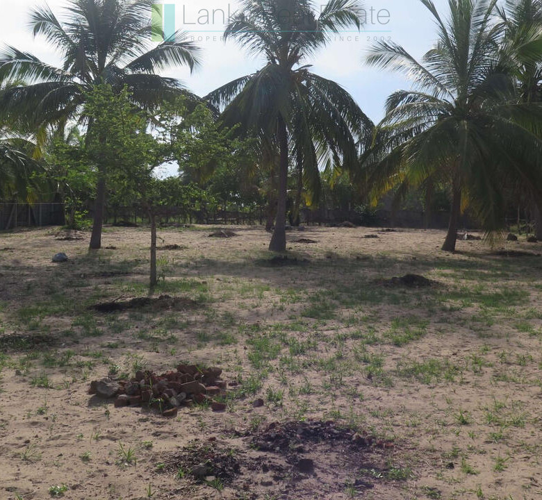 Building plot near Whisky Point, Arugam Bay