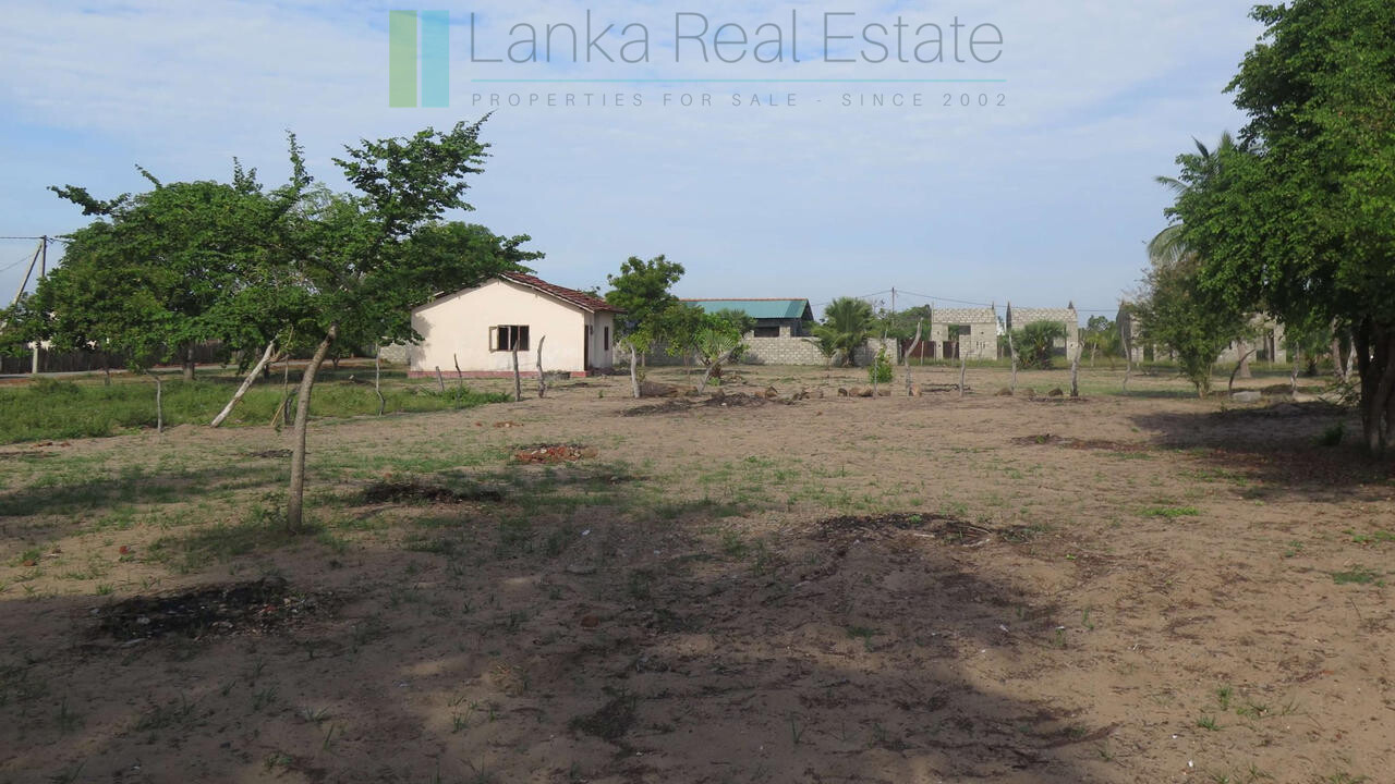 Building plot near Whisky Point, Arugam Bay