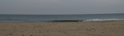 East Coast Lands