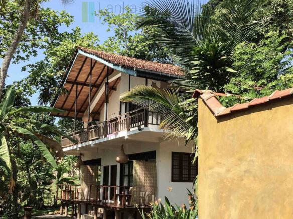Boutique Eco Resort in Hikkaduwa