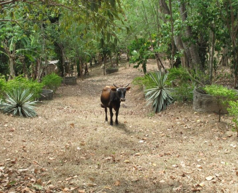 Riverside hill country development plot