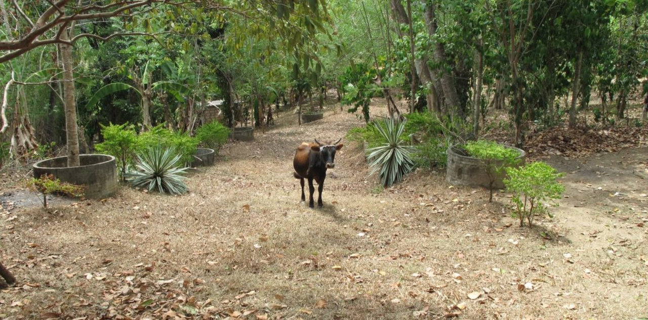 Riverside hill country development plot