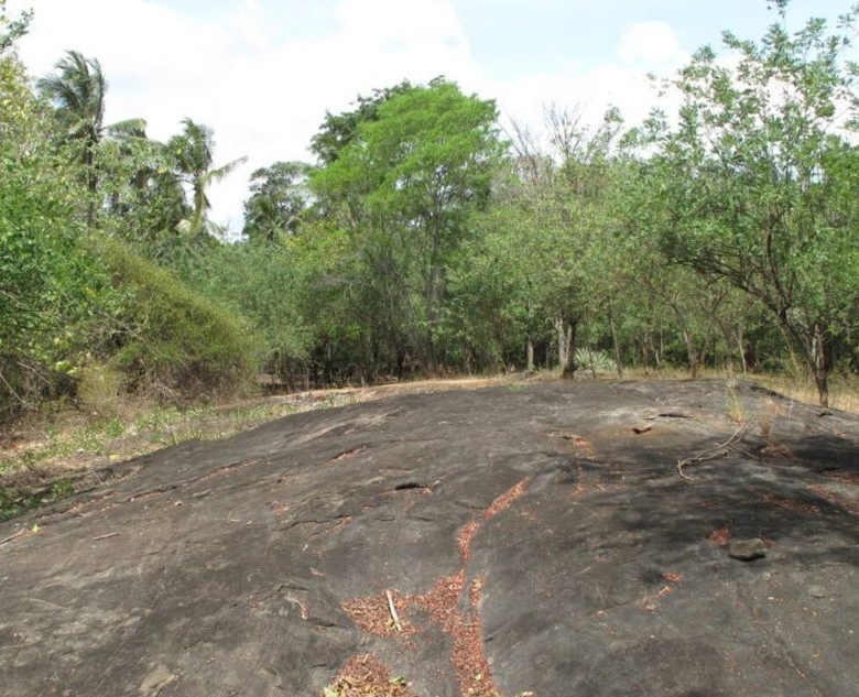 Riverside hill country development plot