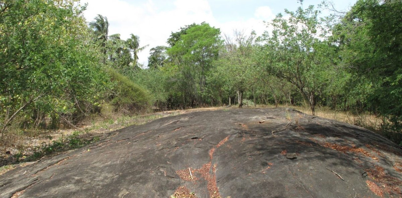 Riverside hill country development plot
