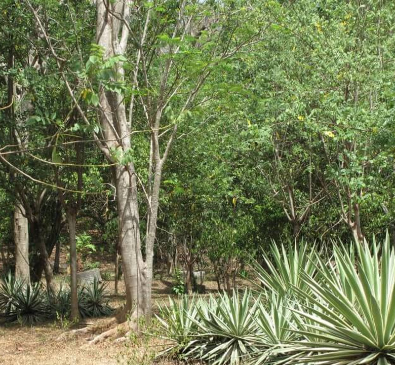 Riverside hill country development plot