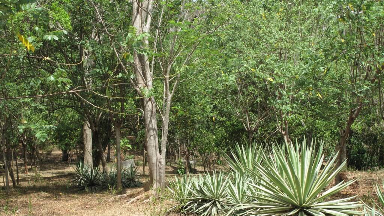 Riverside hill country development plot