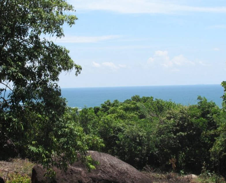 Elevated beach development land