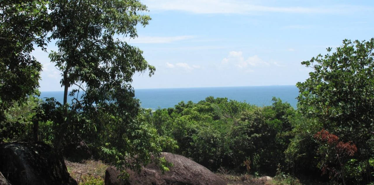 Elevated beach development land