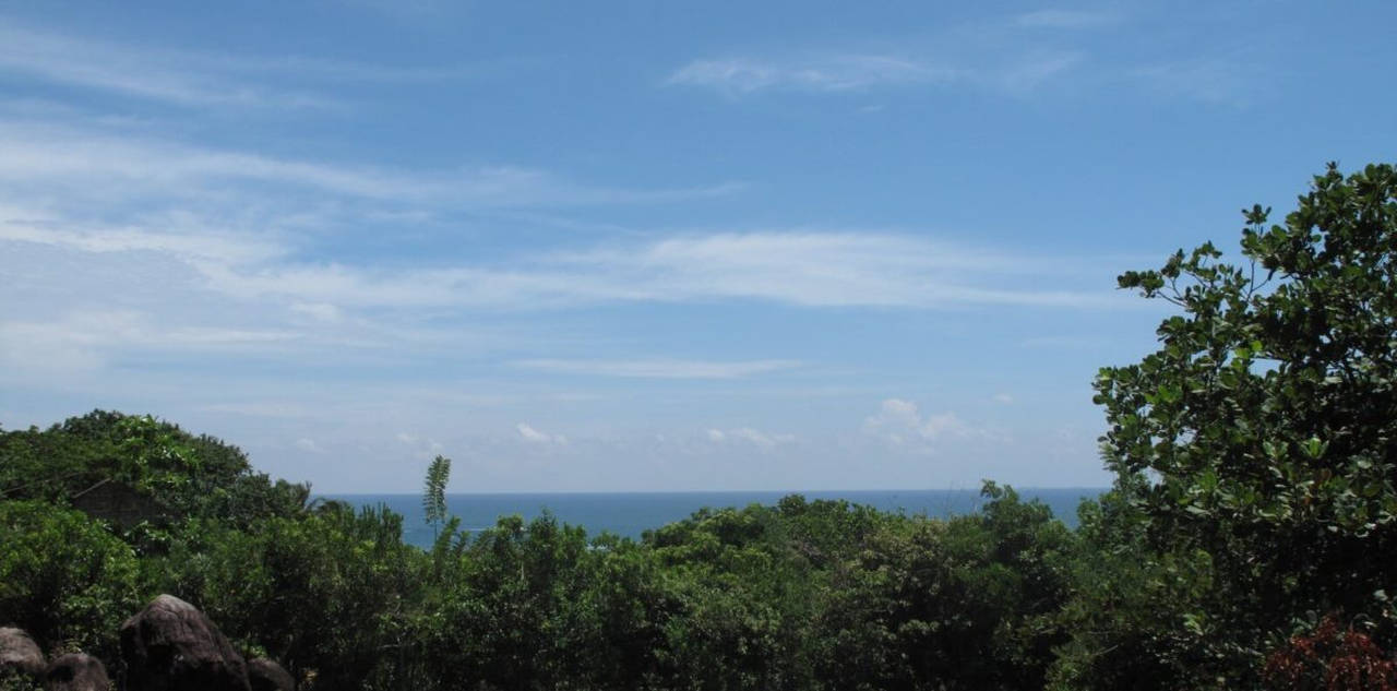 Elevated beach development land