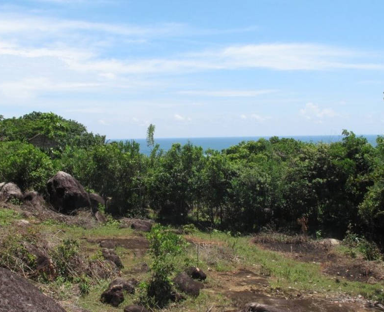 Elevated beach development land
