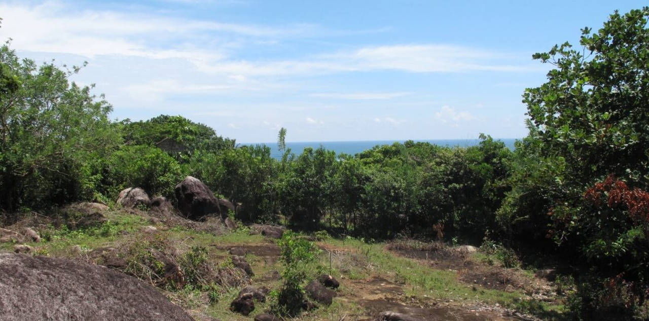 Elevated beach development land