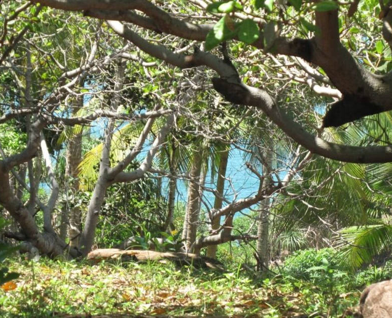 Elevated beach development land