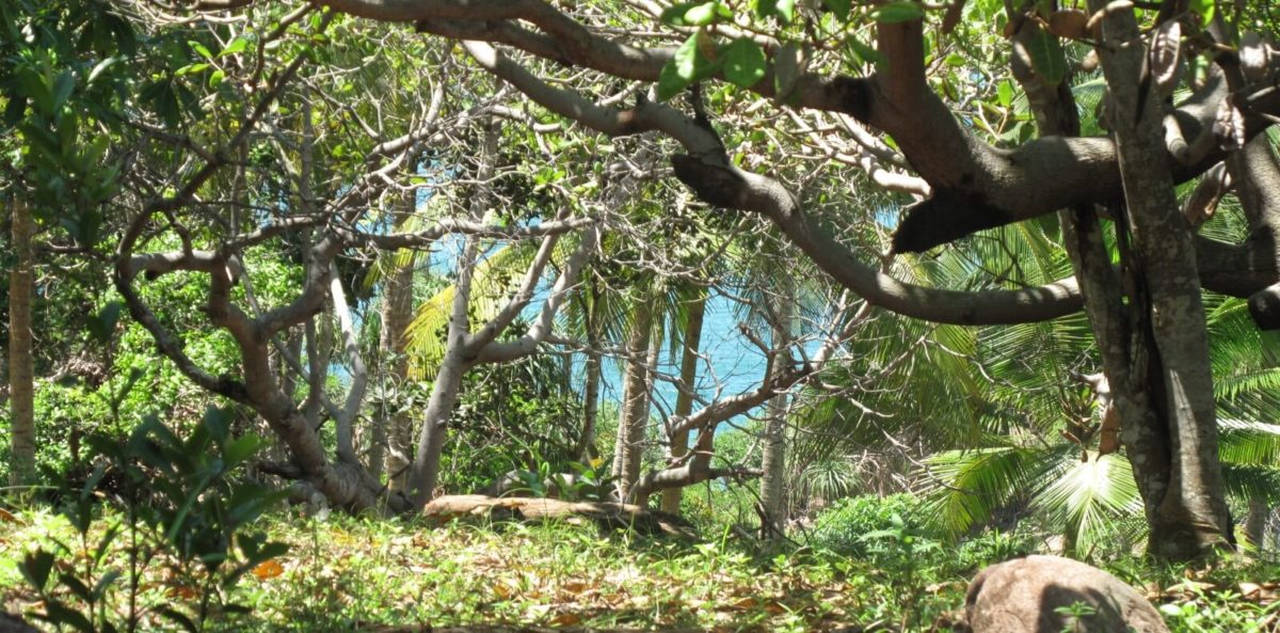 Elevated beach development land