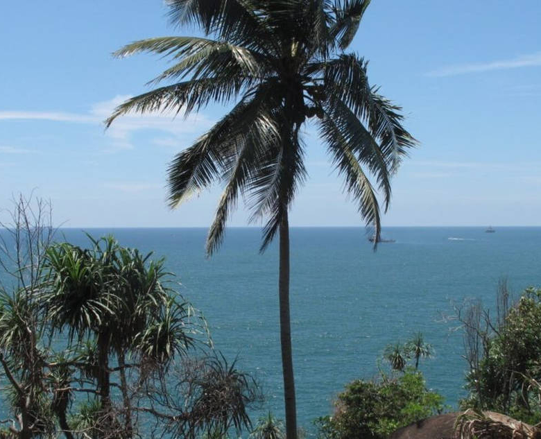 Elevated beach development land