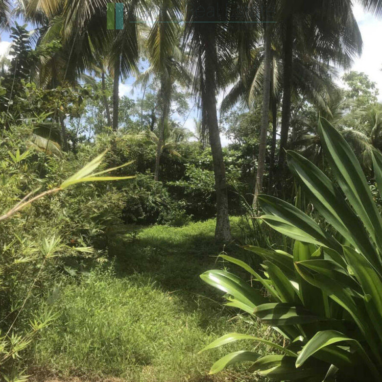 Riverfront building plot near Unawatuna