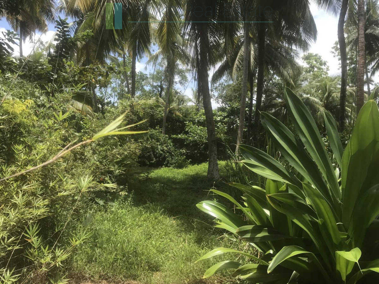Riverfront building plot near Unawatuna