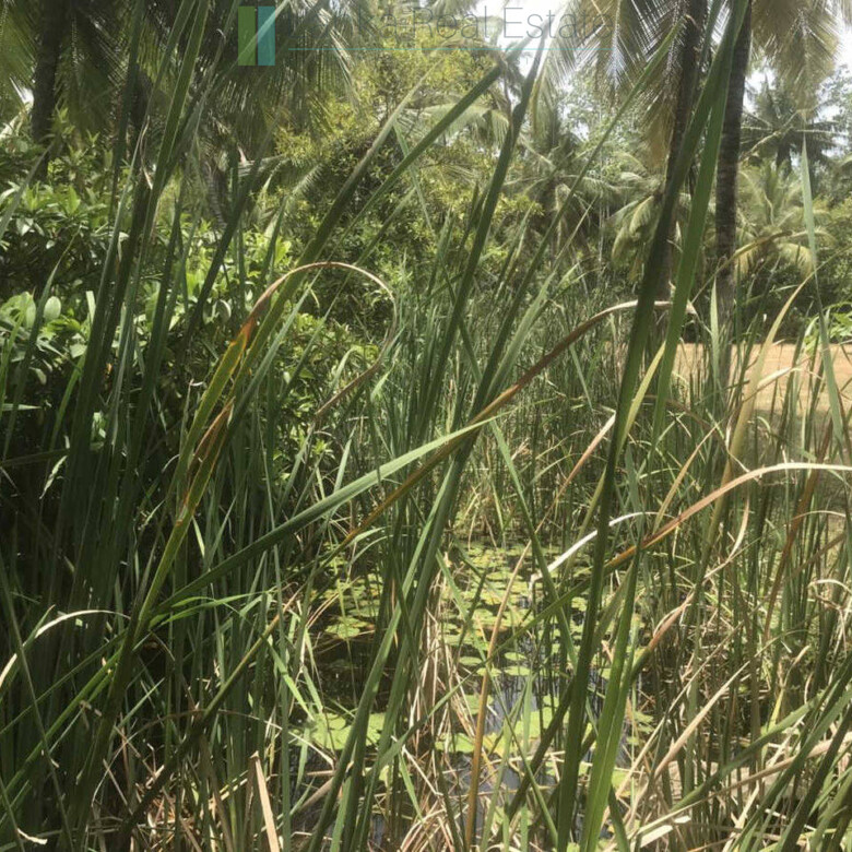 Riverfront building plot near Unawatuna