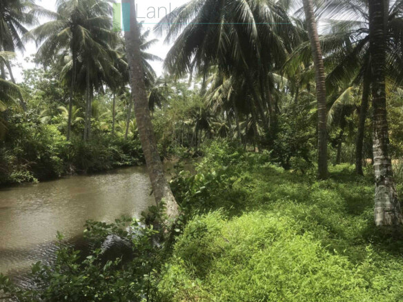 Riverfront building plot near Unawatuna