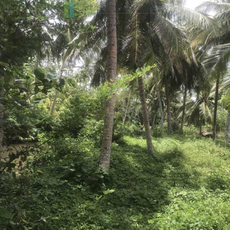 Riverfront building plot near Unawatuna
