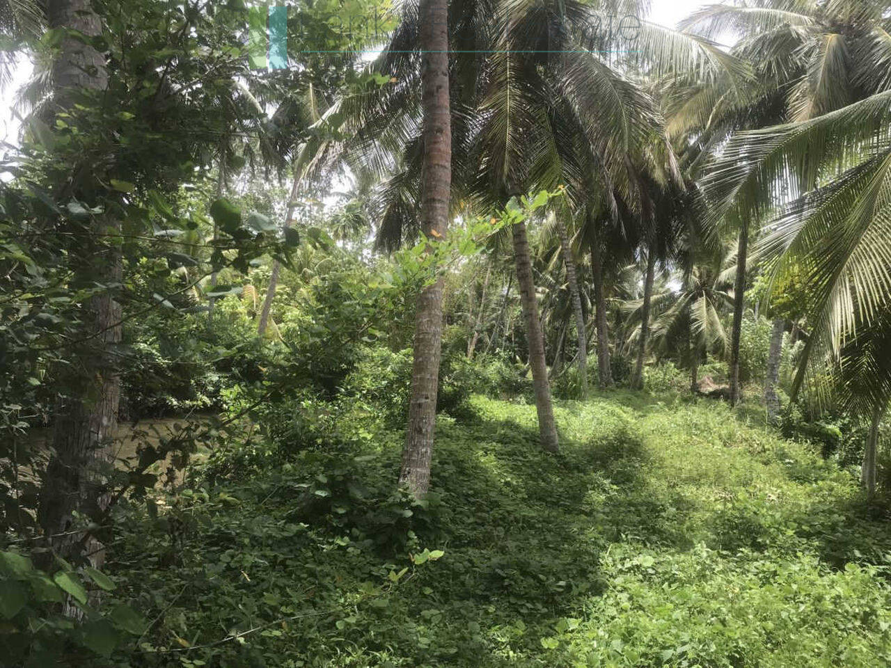 Riverfront building plot near Unawatuna