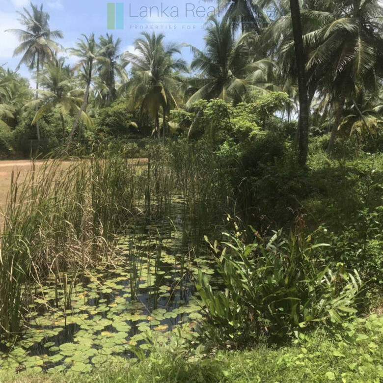 Riverfront building plot near Unawatuna