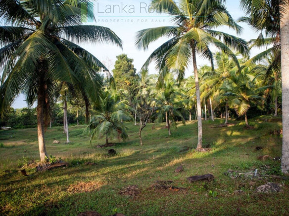 Five acres on exclusive Koggala lakefront estate