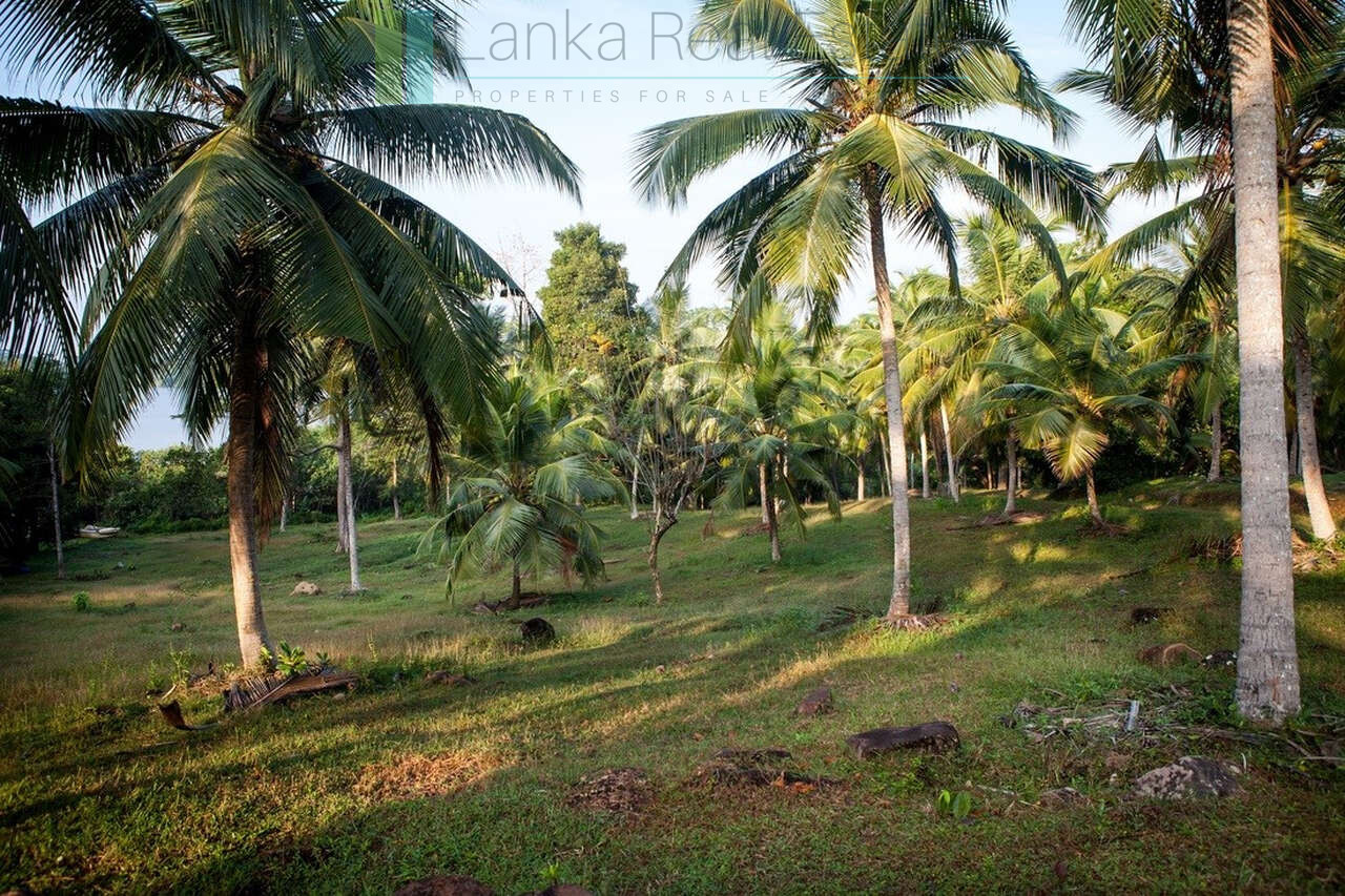 Five acres on exclusive Koggala lakefront estate