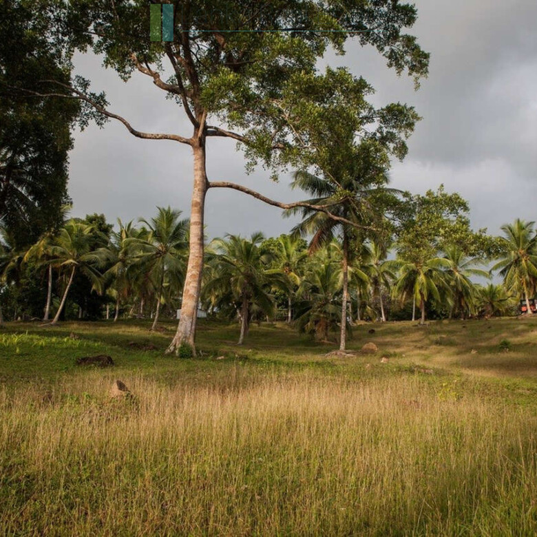 Five acres on exclusive Koggala lakefront estate
