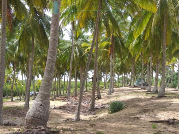 Stunning ten acres on pristine beach at Kalametiya