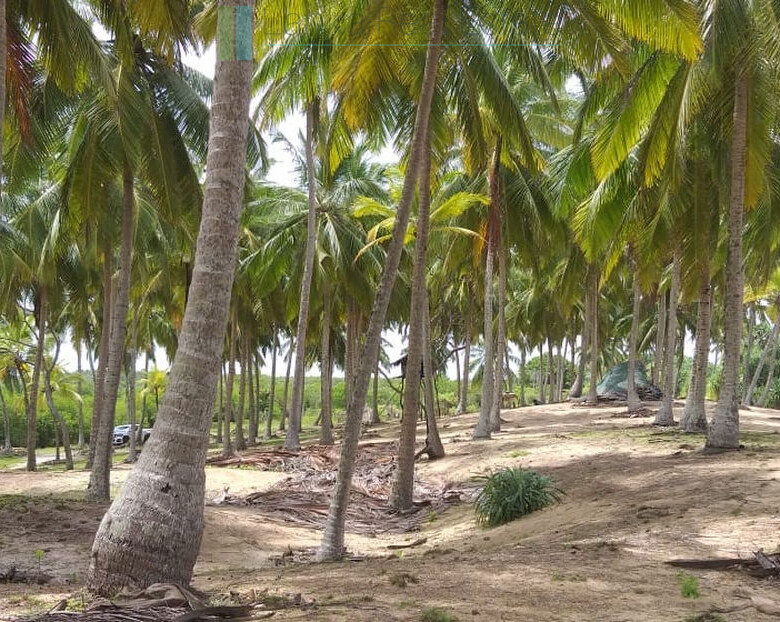 Stunning ten acres on pristine beach at Kalametiya