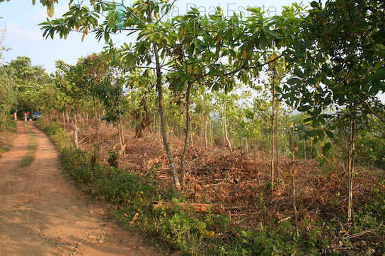 Large elevated development plot near Weligama Beach