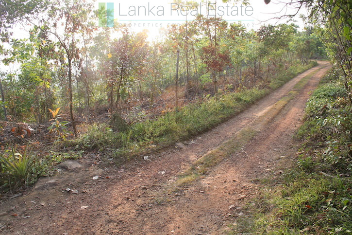 Ten acres with exceptional views over Weligama Bay