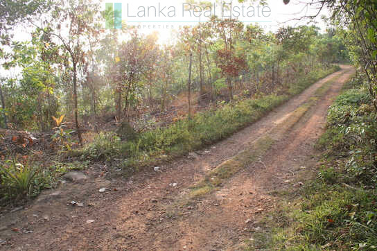Large elevated development plot near Weligama Beach