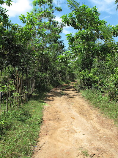 Large elevated development plot near Weligama Beach