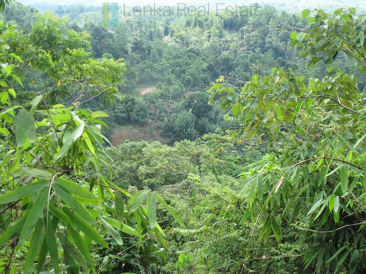 Ten acres with exceptional views over Weligama Bay