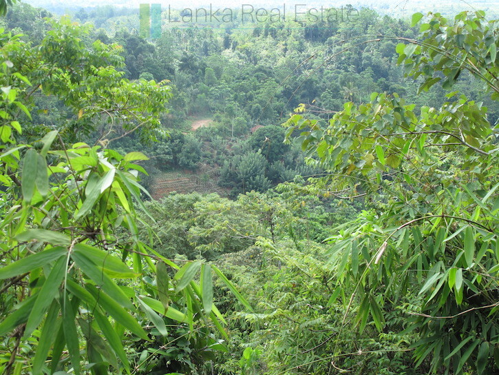 Large elevated development plot near Weligama Beach