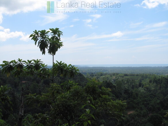 Large elevated development plot near Weligama Beach
