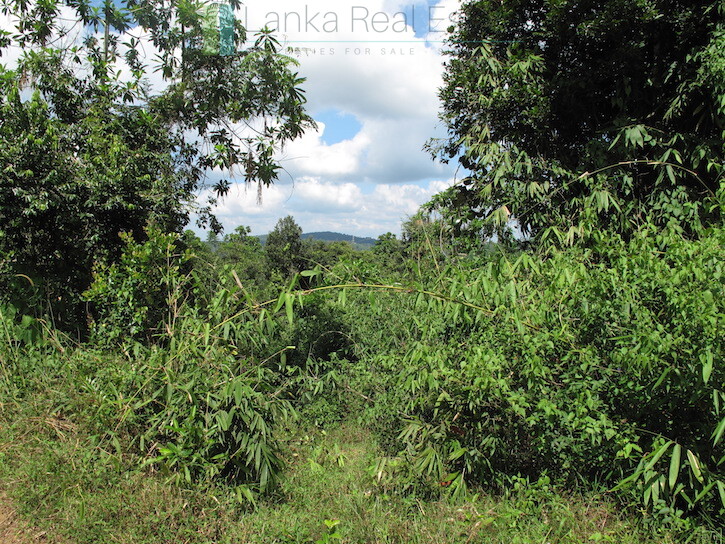 Large elevated development plot near Weligama Beach