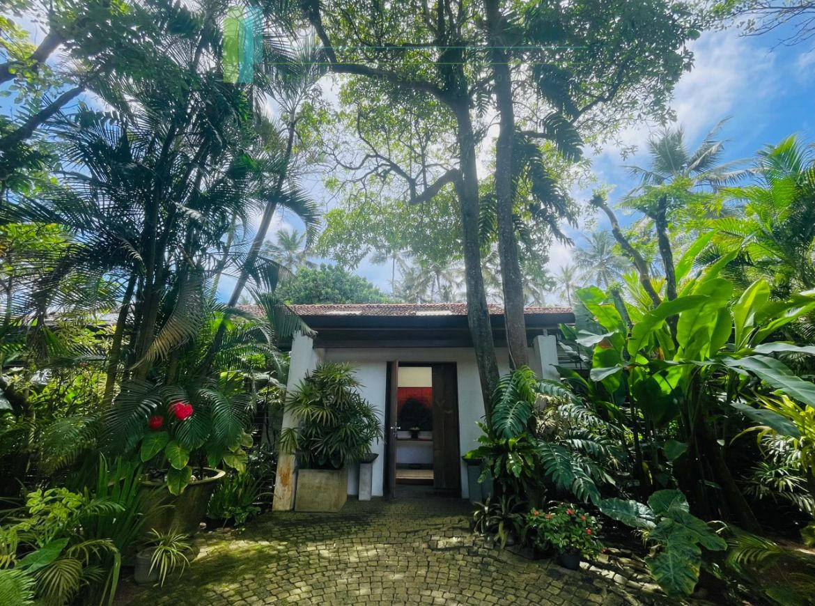 Luxury beachfront villa near Bentota