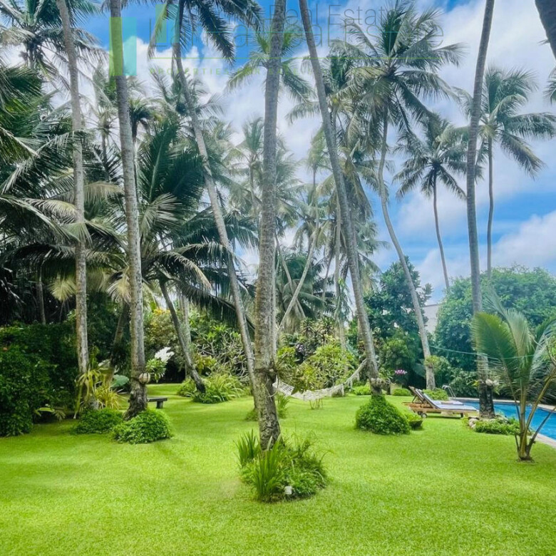 Luxury beachfront villa near Bentota