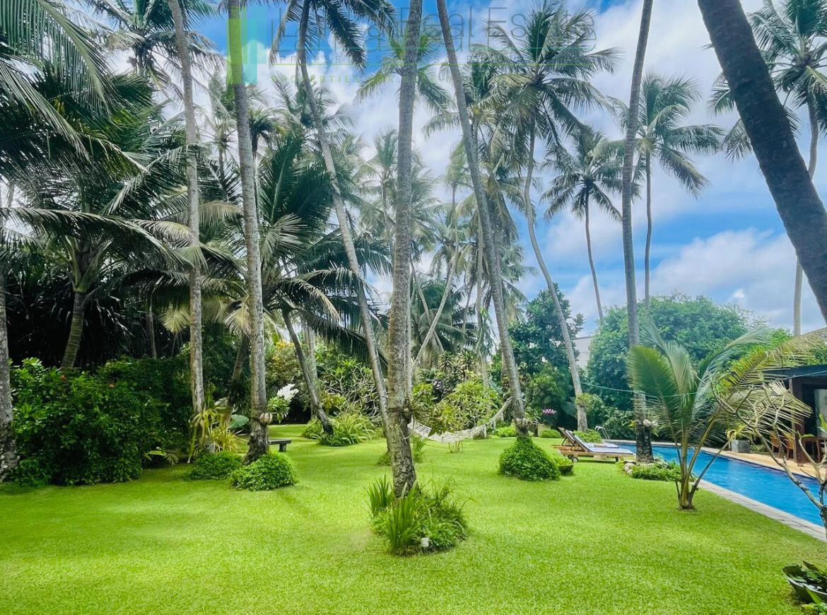 Luxury beachfront villa near Bentota